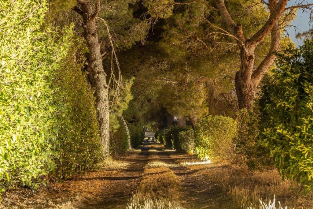 Villa Salento Лечче Экстерьер фото